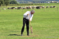 Graf van Navagne